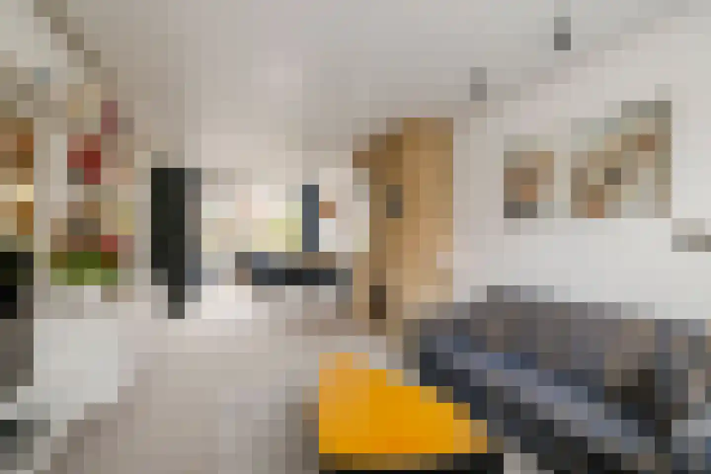 Rechthuisstraat 24 Haarlem thumbnail 8