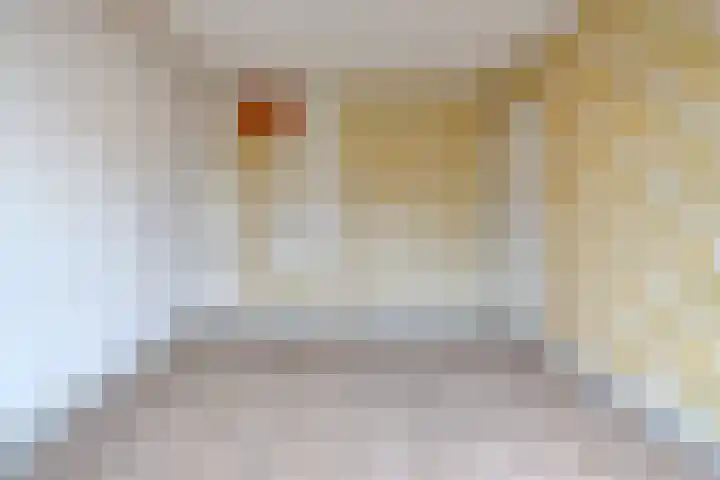 Rechthuisstraat 44 Haarlem thumbnail 24
