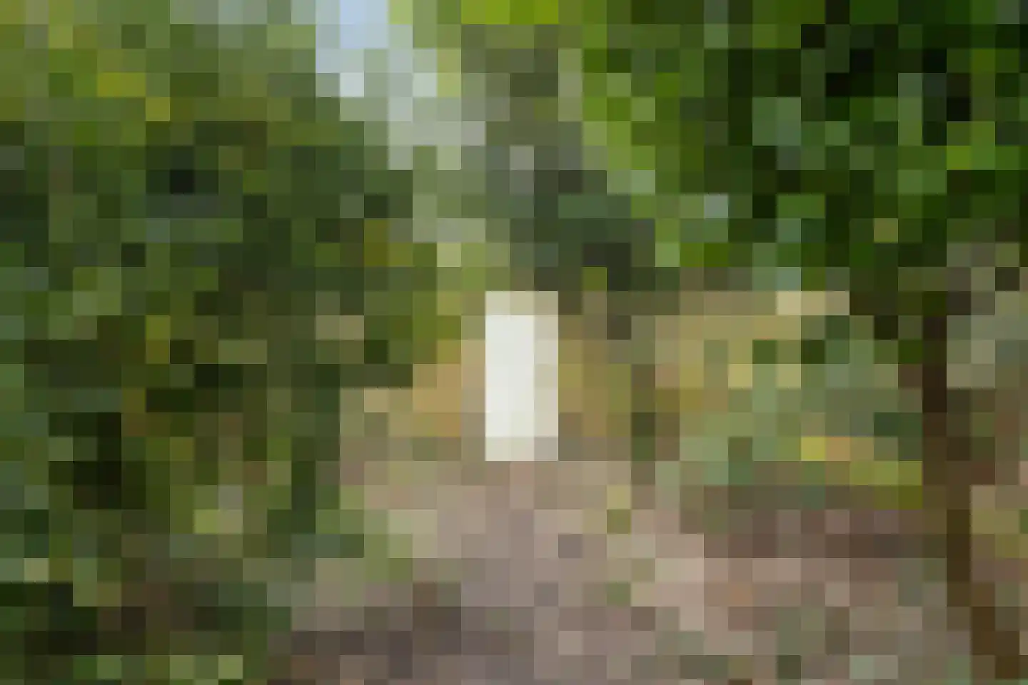 Rechthuisstraat 44 Haarlem thumbnail 36