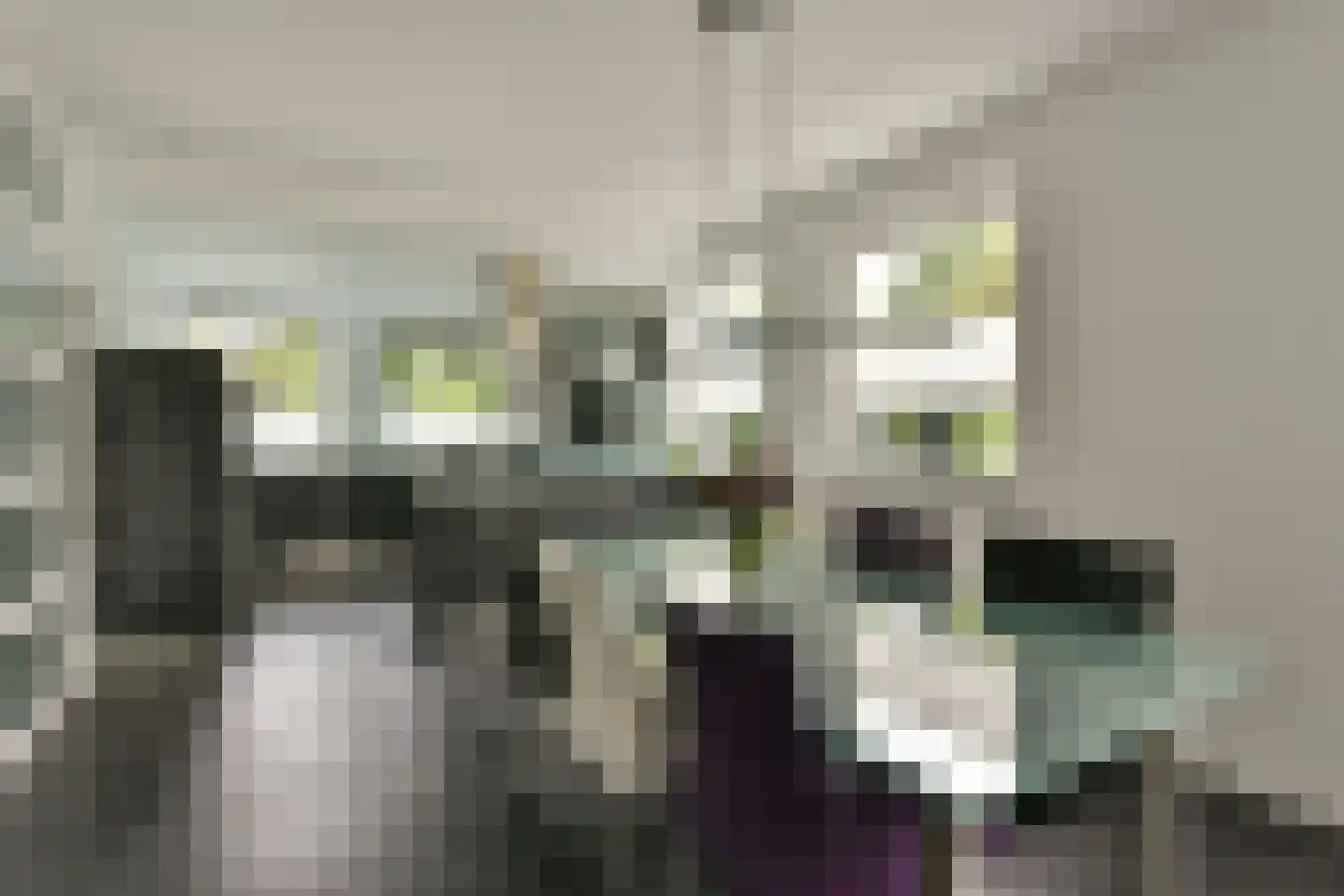 Rechtsachterstraat 12 Kudelstaart thumbnail 12