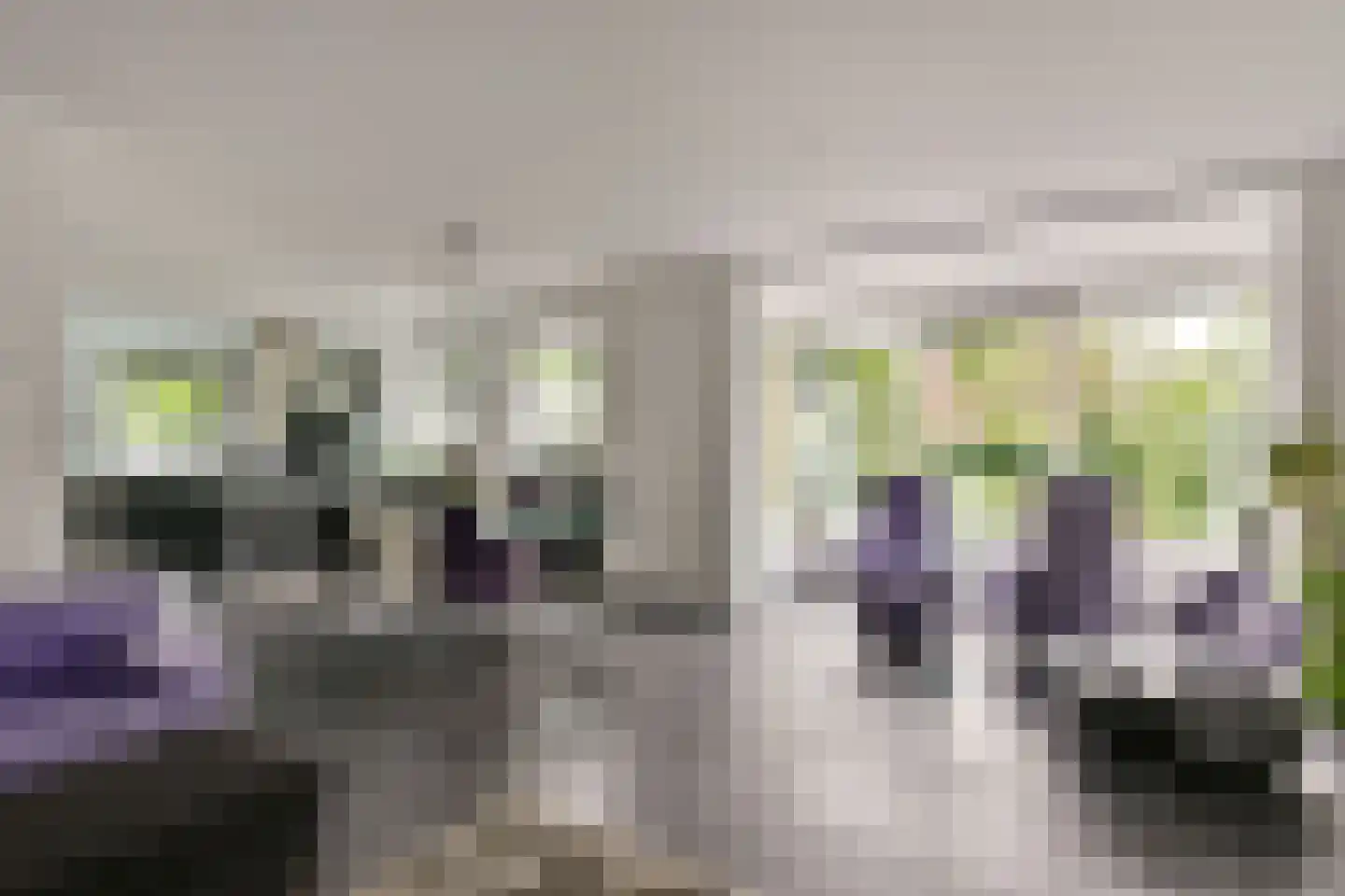Rechtsachterstraat 12 Kudelstaart thumbnail 14