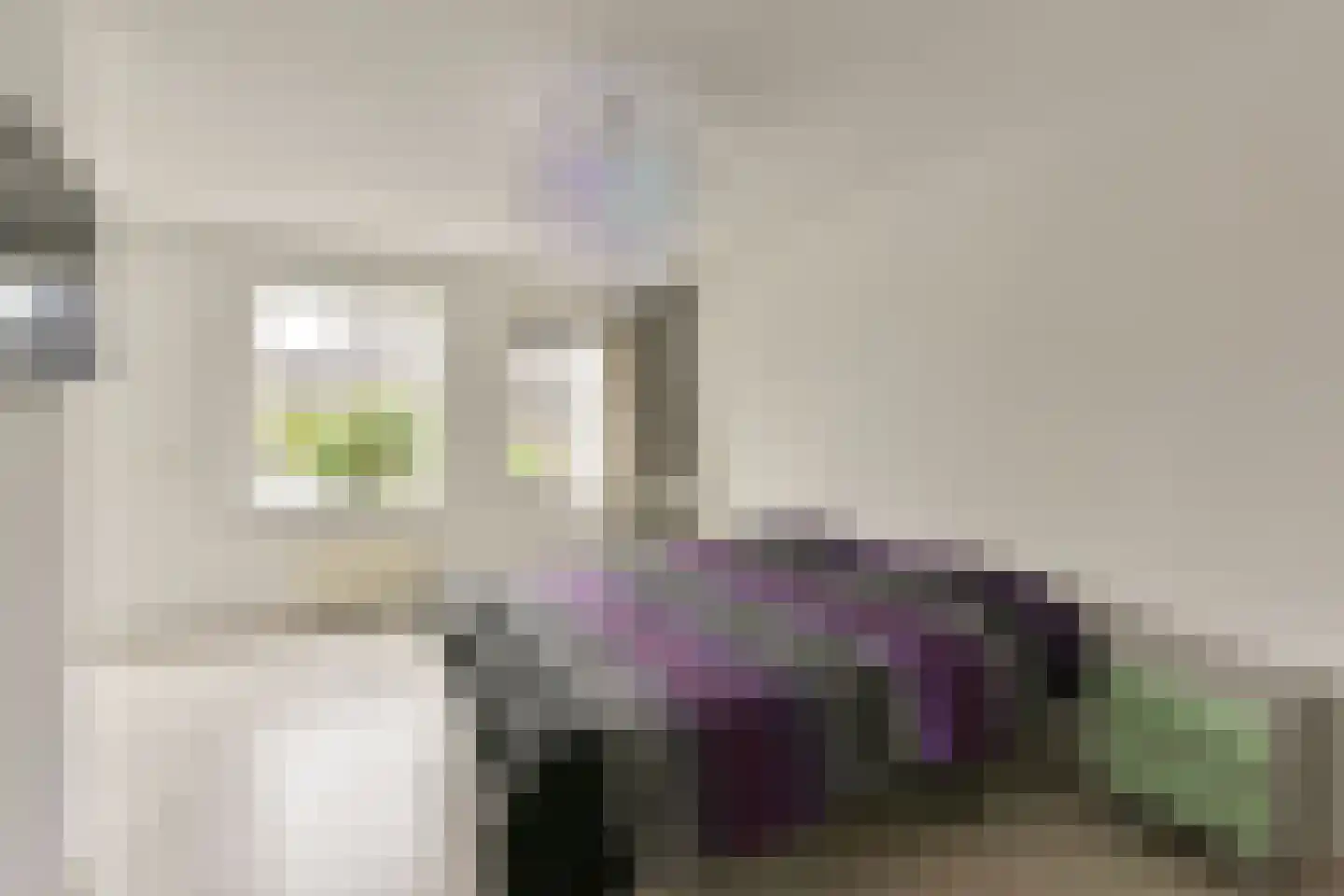 Rechtsachterstraat 12 Kudelstaart thumbnail 18