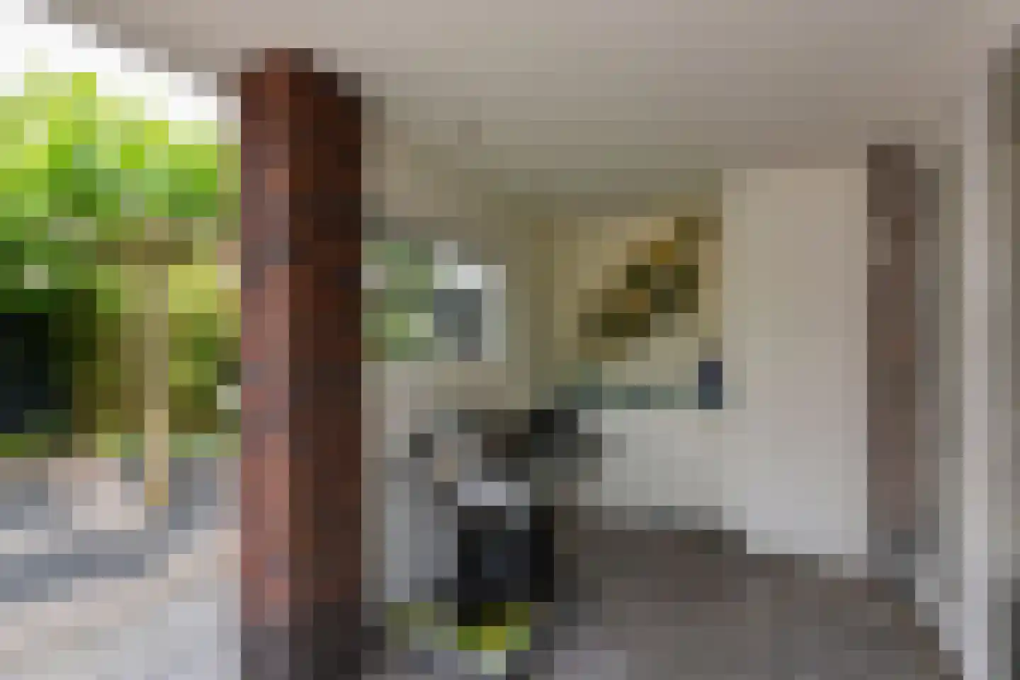 Rechtsachterstraat 12 Kudelstaart thumbnail 34