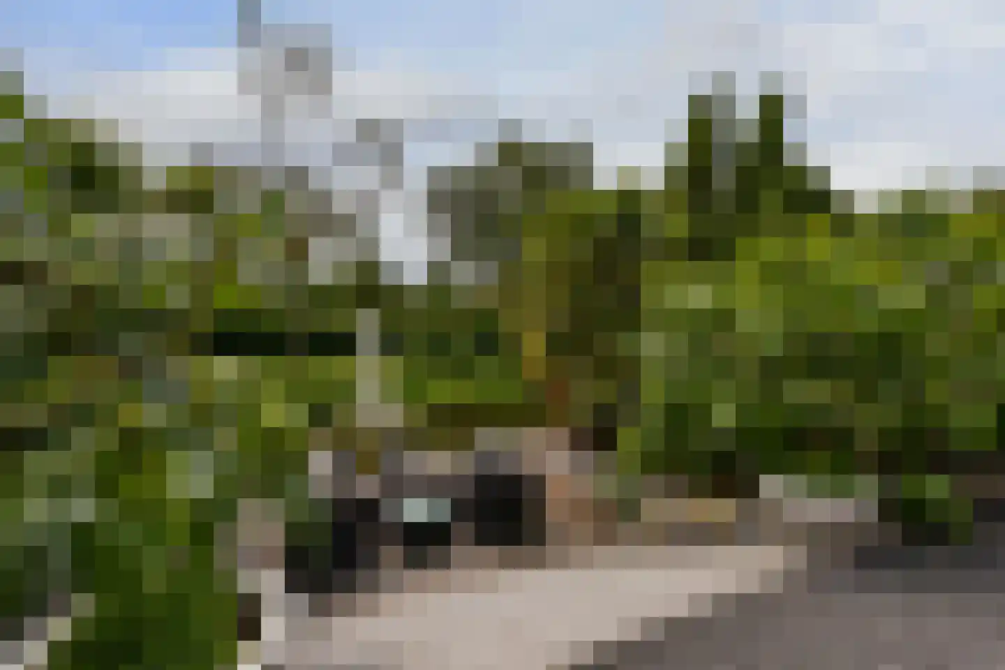 Rechtsachterstraat 12 Kudelstaart thumbnail 41
