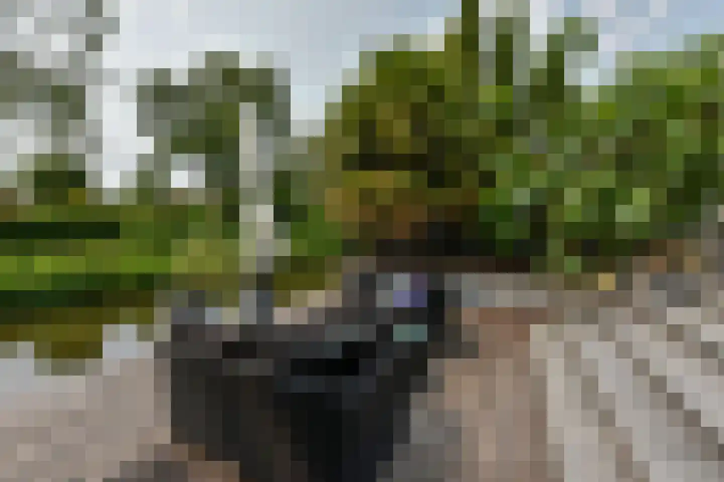 Rechtsachterstraat 12 Kudelstaart thumbnail 43