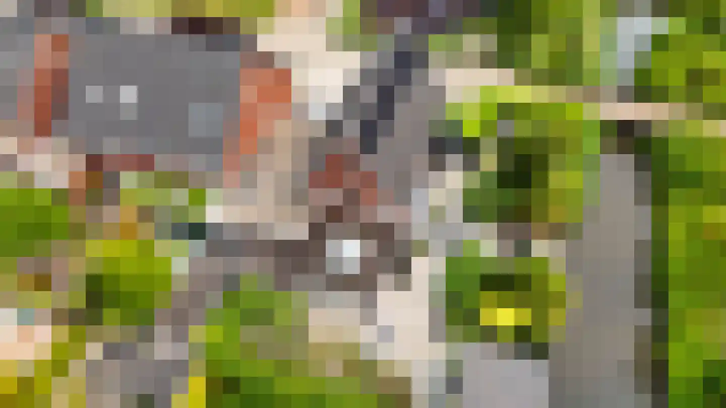 Rechtsachterstraat 12 Kudelstaart thumbnail 5