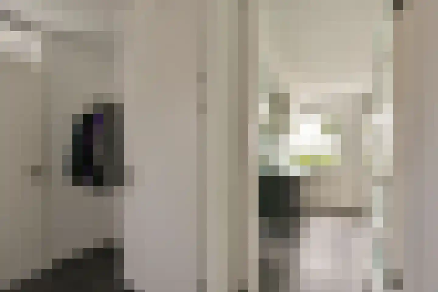 Rechtsachterstraat 12 Kudelstaart thumbnail 9