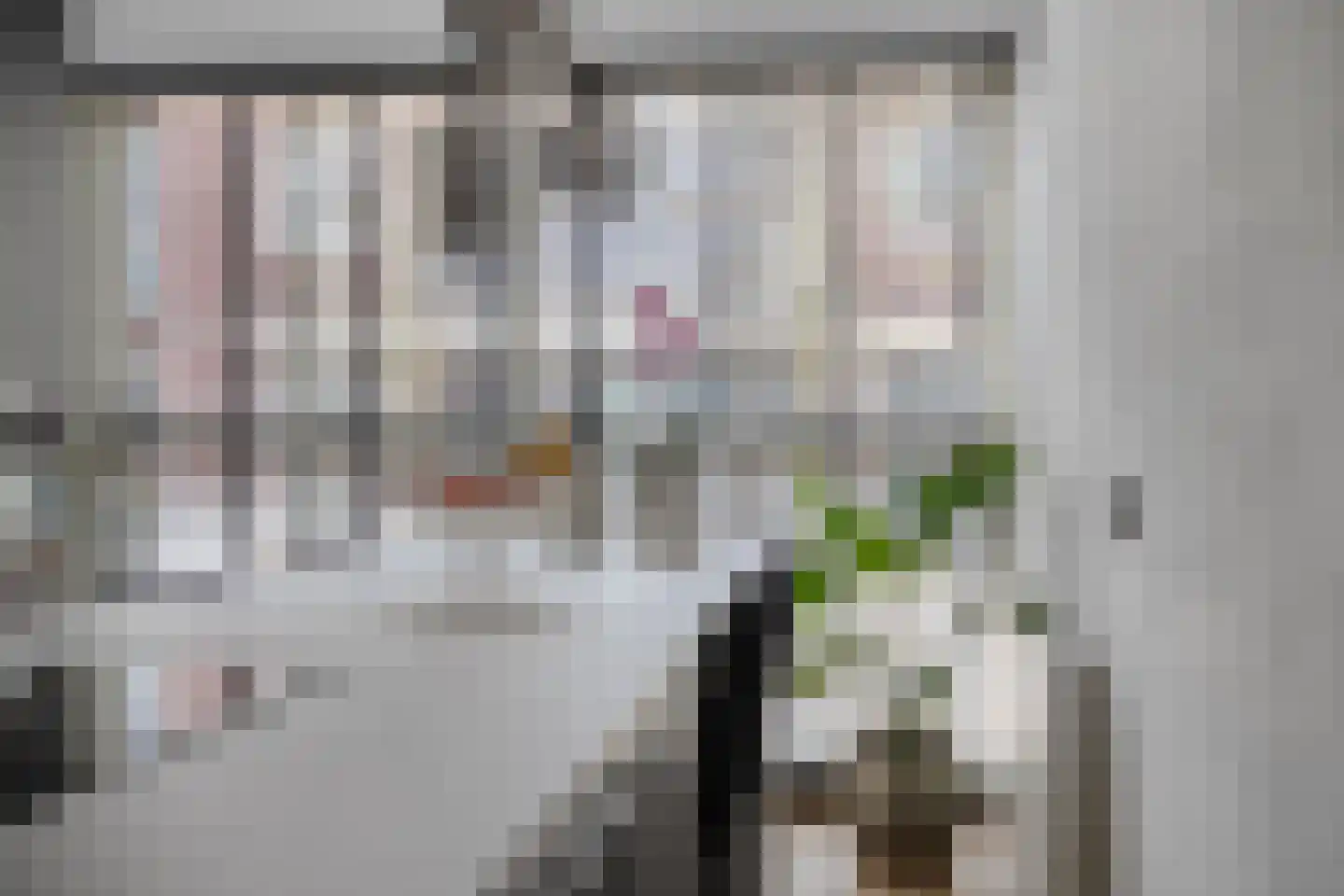 Rechtsbuitenstraat 11 Kudelstaart thumbnail 109