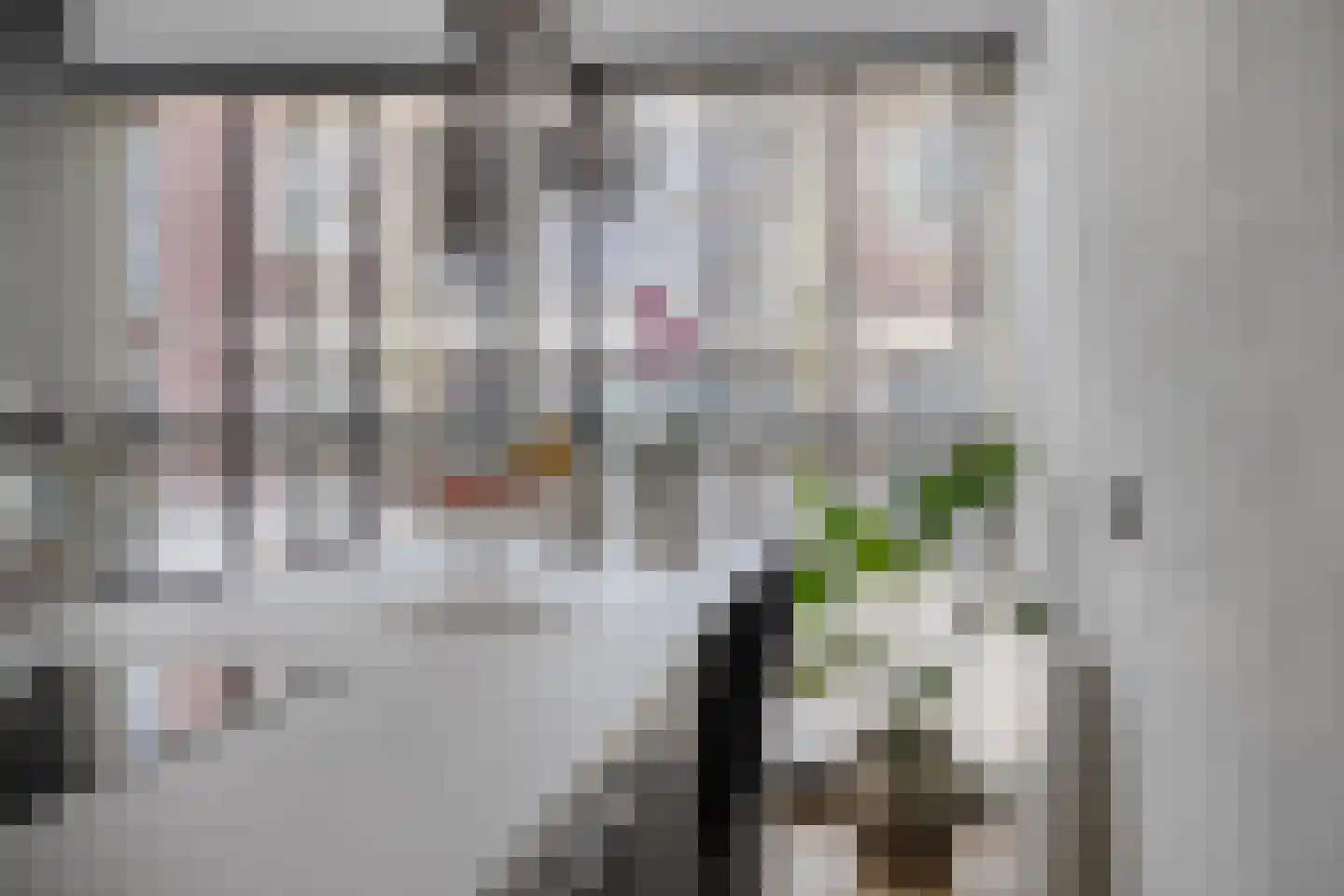 Rechtsbuitenstraat 11 Kudelstaart thumbnail 65