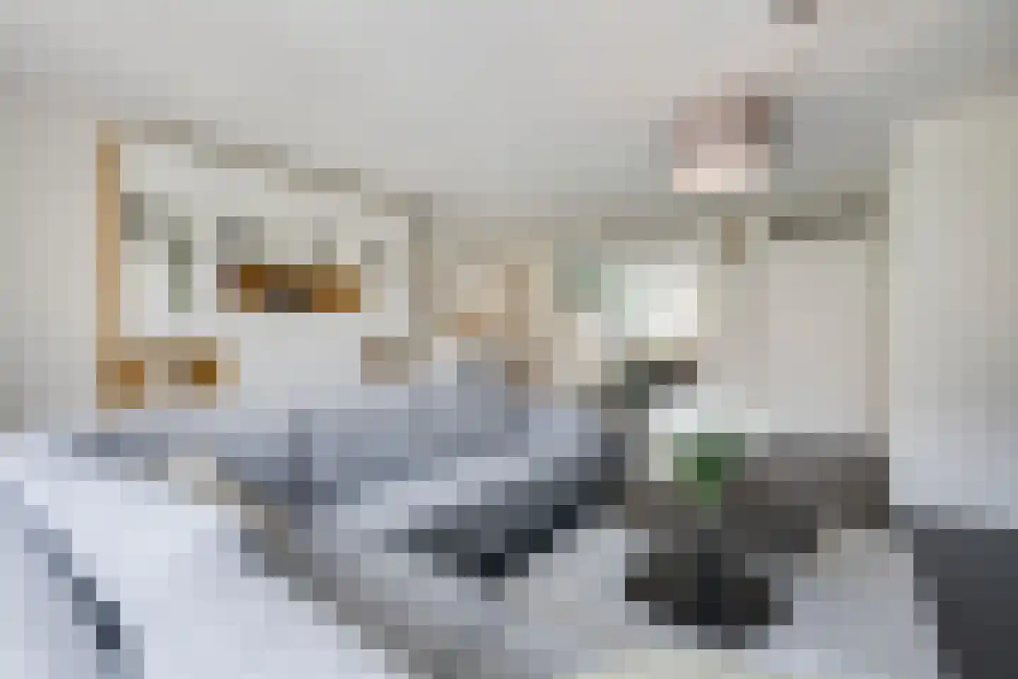 Rechtsbuitenstraat 17 Kudelstaart thumbnail 12