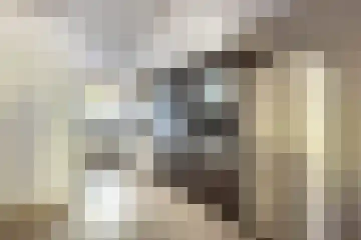 Rechtsbuitenstraat 2 Kudelstaart thumbnail 18