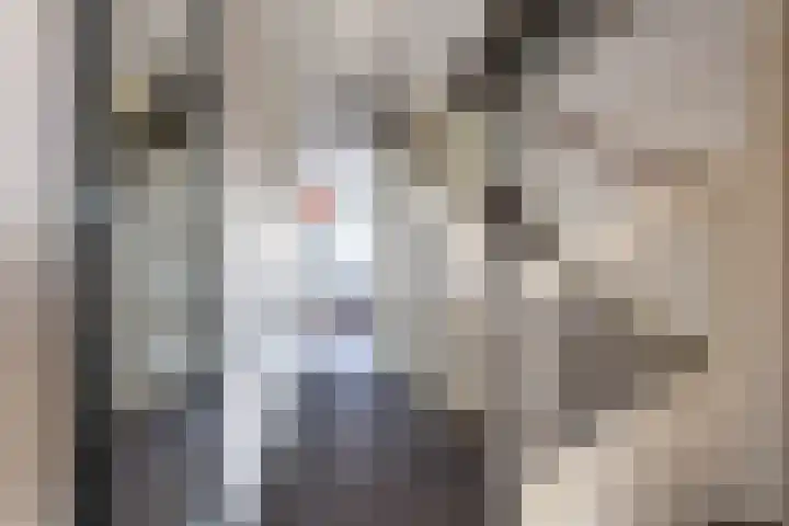 Rechtsbuitenstraat 2 Kudelstaart thumbnail 19