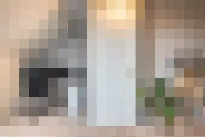 Rechtsbuitenstraat 2 Kudelstaart thumbnail 36