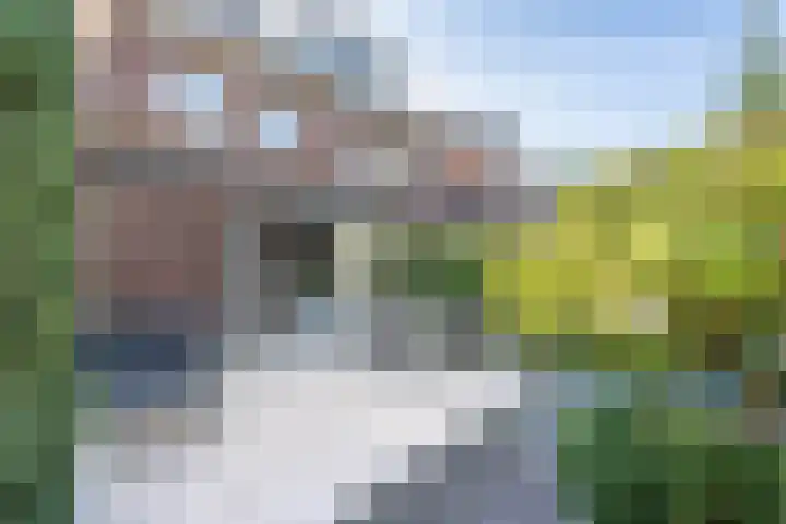Rechtsbuitenstraat 2 Kudelstaart thumbnail 38