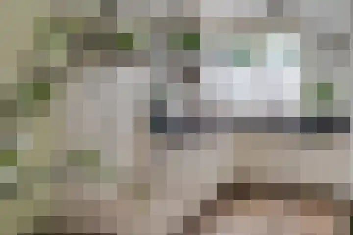 Rechtsbuitenstraat 4 Kudelstaart thumbnail 15