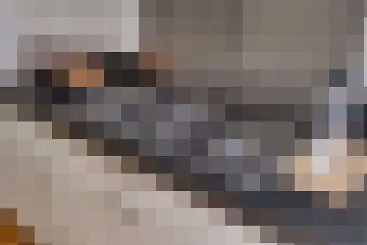Rechtsbuitenstraat 4 Kudelstaart thumbnail 17