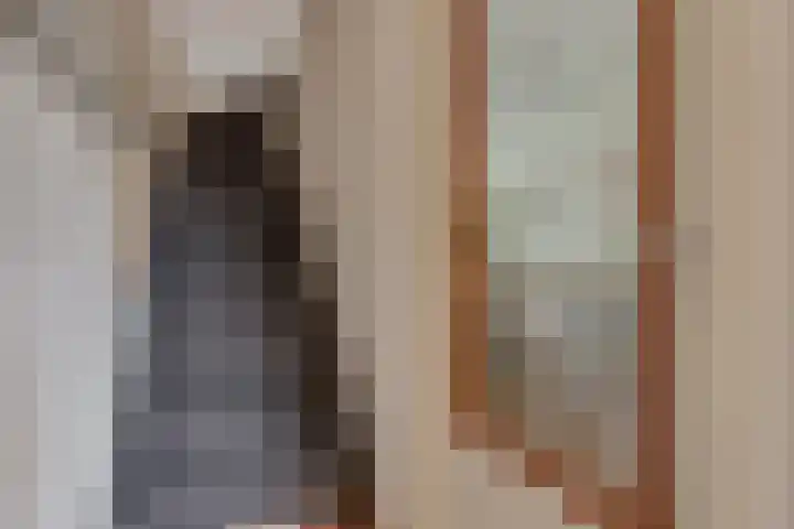 Rechtsbuitenstraat 4 Kudelstaart thumbnail 20