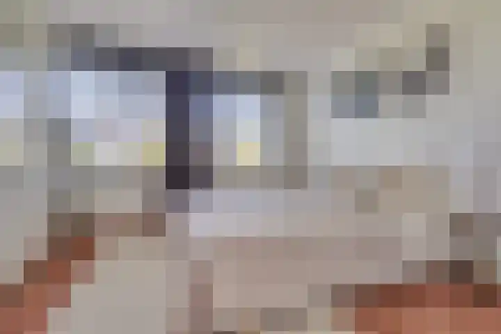 Rechtsbuitenstraat 4 Kudelstaart thumbnail 21