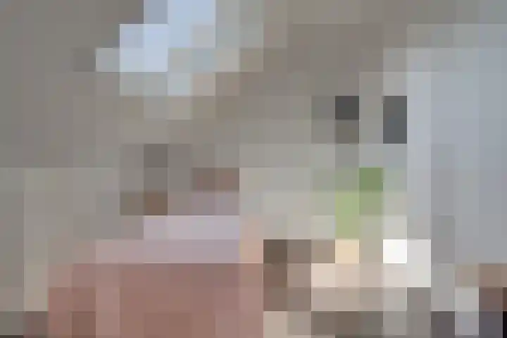 Rechtsbuitenstraat 4 Kudelstaart thumbnail 30