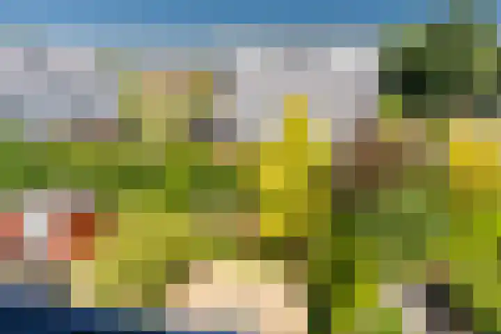 Rechtsbuitenstraat 4 Kudelstaart thumbnail 35