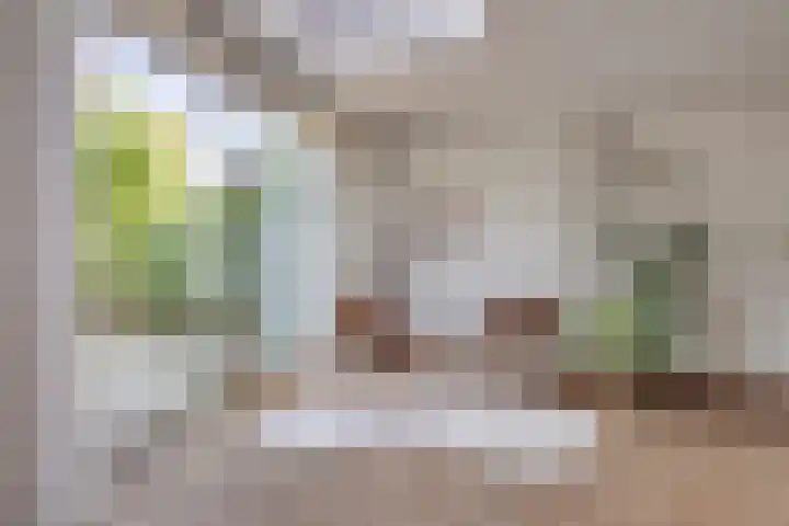 Rechtsbuitenstraat 4 Kudelstaart thumbnail 5