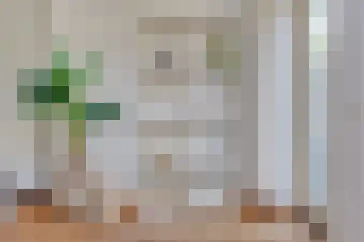 Rechtsbuitenstraat 4 Kudelstaart thumbnail 6