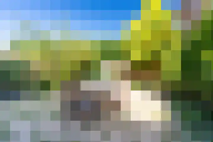 Rechtsbuitenstraat 4 Kudelstaart thumbnail 7