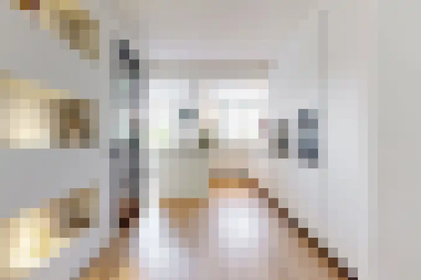 Rechtsbuitenstraat 42 Kudelstaart thumbnail 11