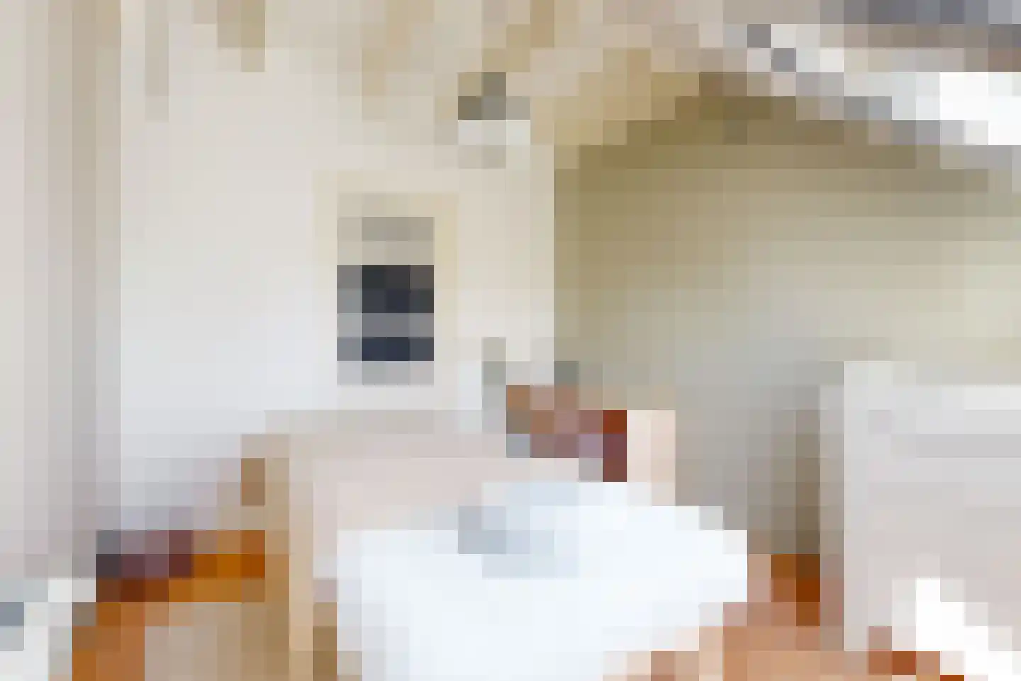 Rechtsbuitenstraat 42 Kudelstaart thumbnail 22