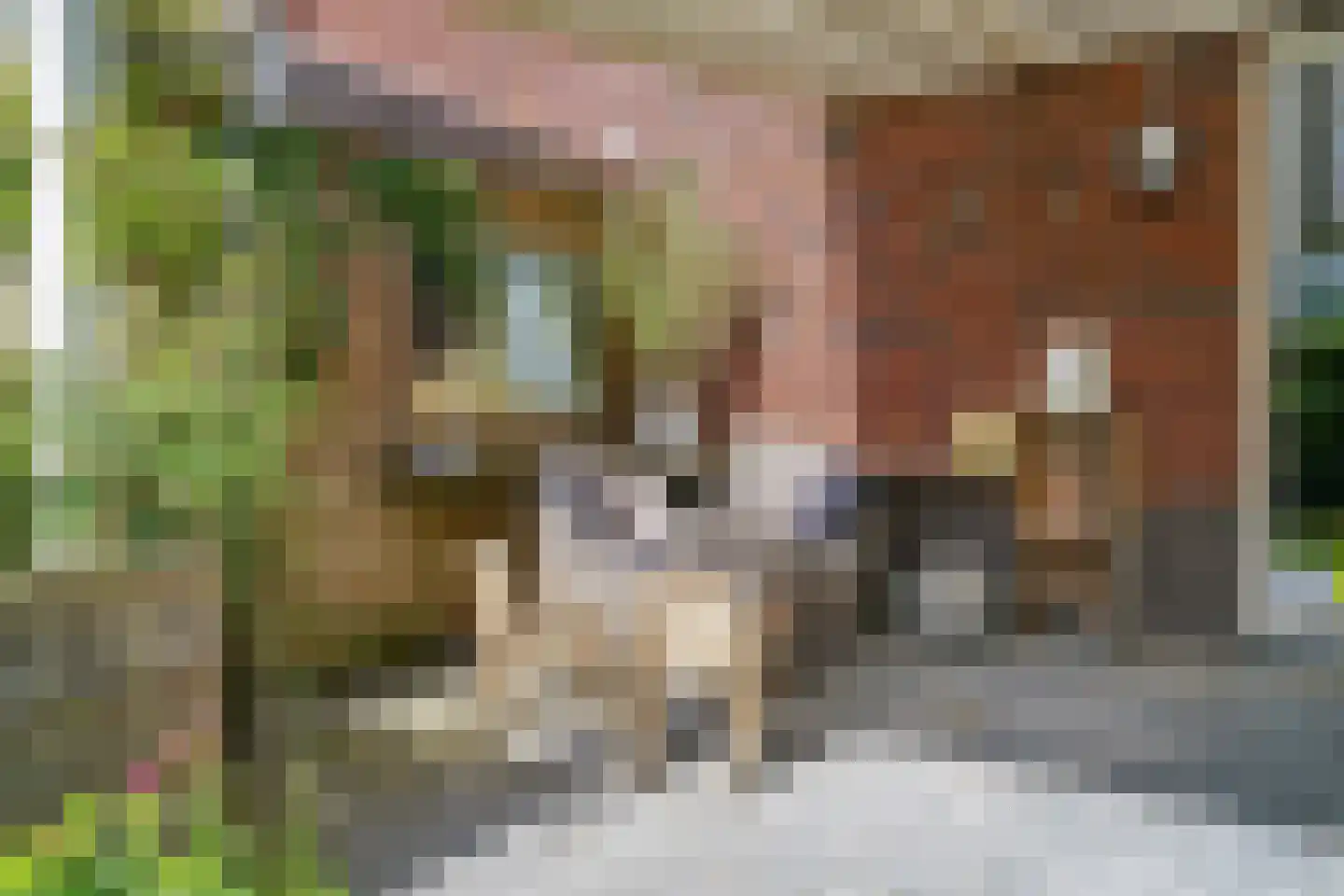 Rechtsbuitenstraat 42 Kudelstaart thumbnail 35
