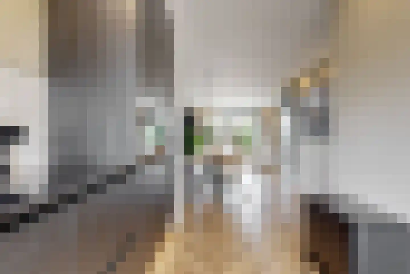 Rechtsbuitenstraat 6 Kudelstaart thumbnail 9