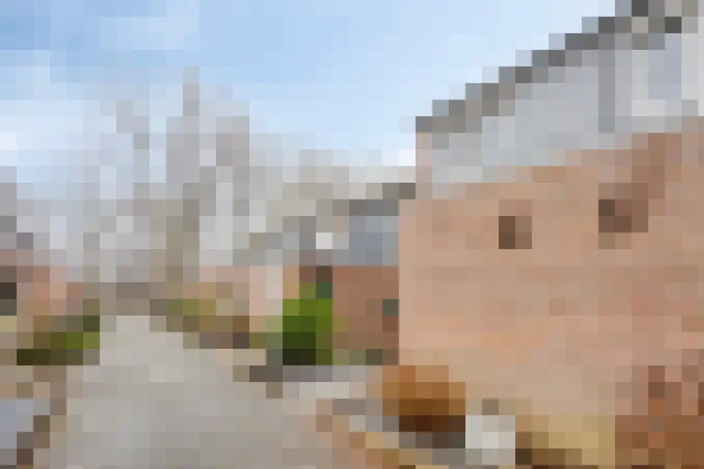 Rechtstraat 11 Hoensbroek thumbnail 10