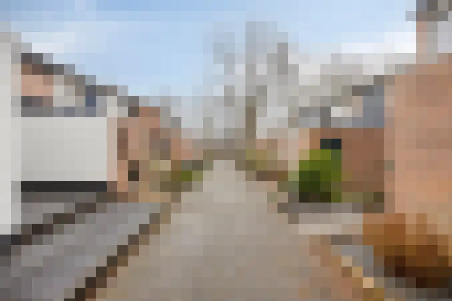 Rechtstraat 11 Hoensbroek thumbnail 33