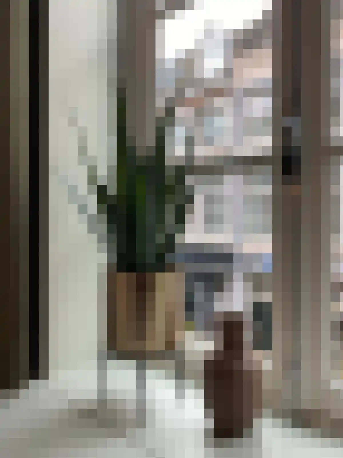 Rechtstraat 31 B Maastricht thumbnail 4