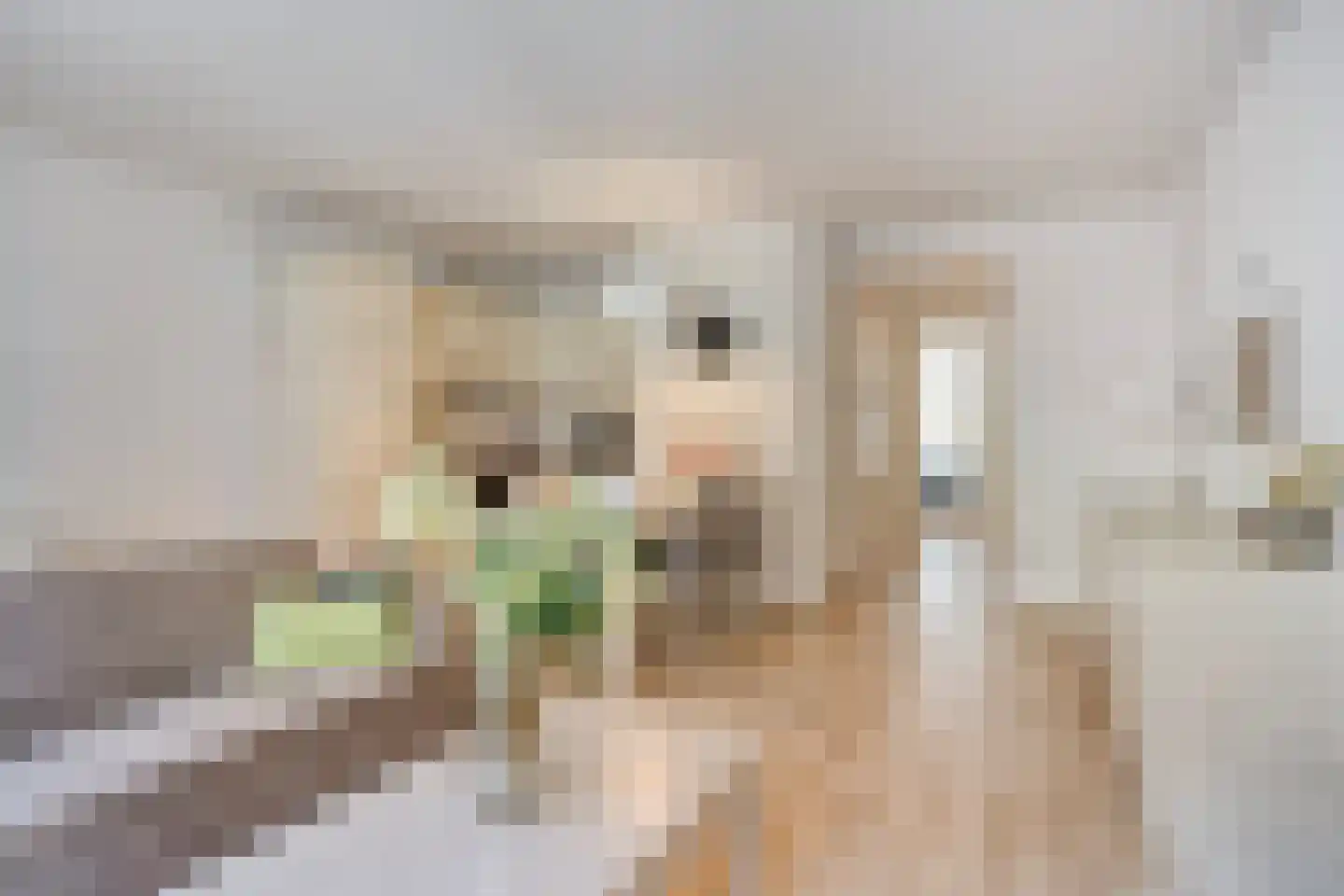 Rechtstraat 70 Maastricht thumbnail 7