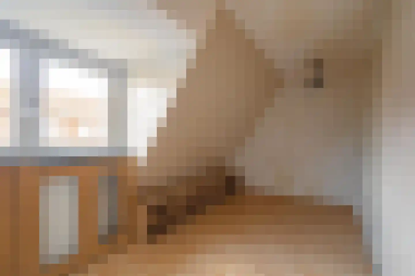 Rechtstraat 8 Landgraaf thumbnail 15