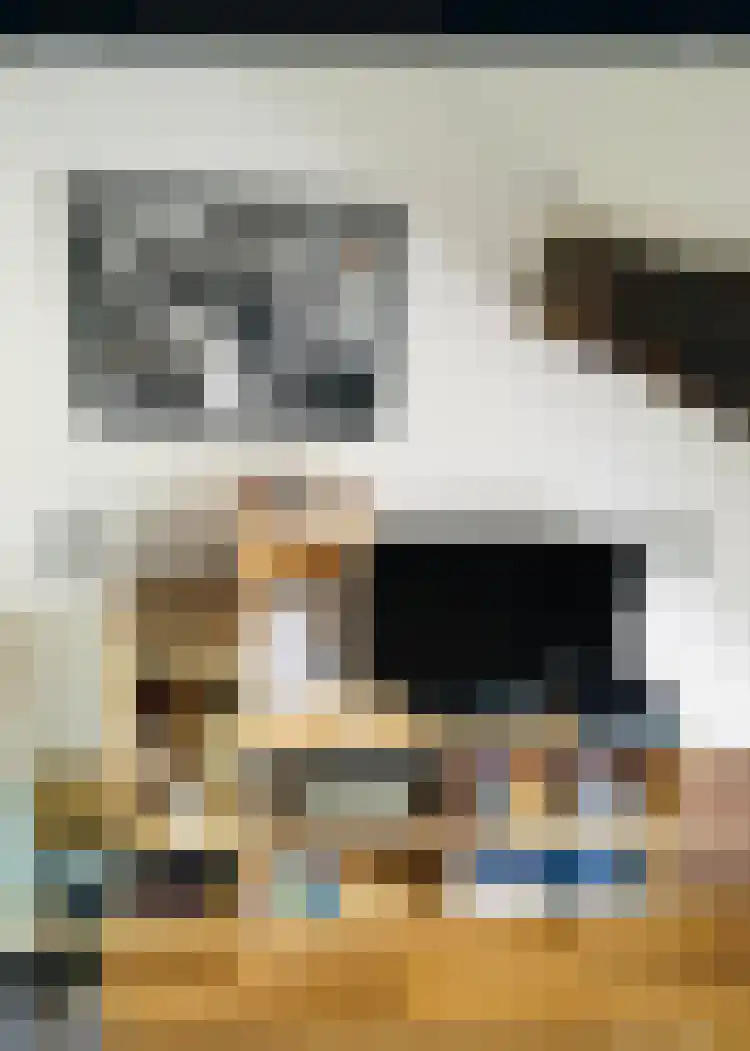 Rechtstraat 87 Maastricht thumbnail 7