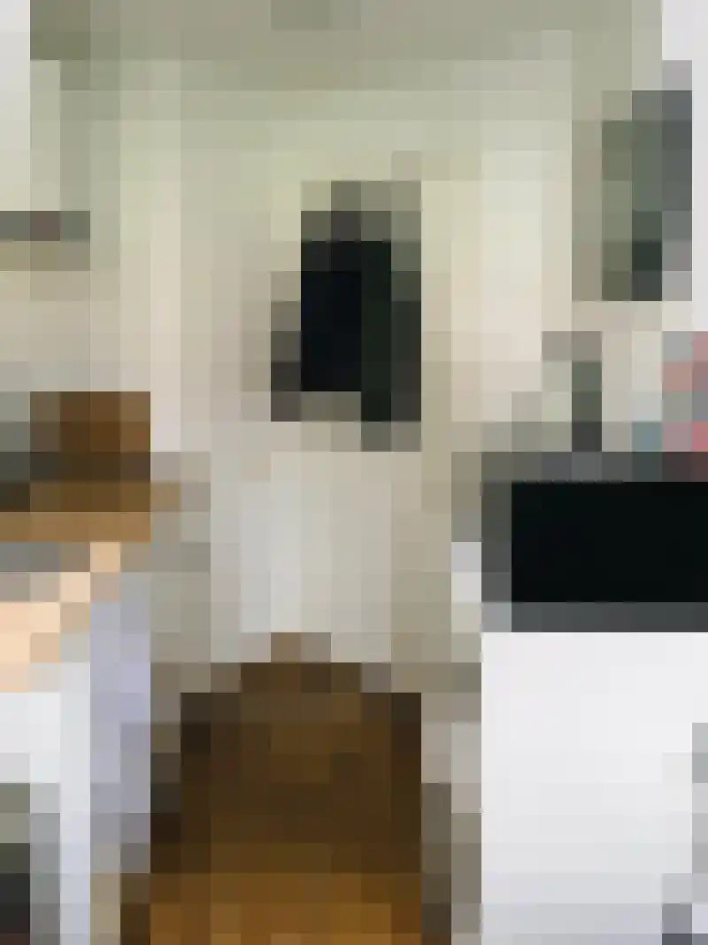 Rechtstraat 87 Maastricht thumbnail 8