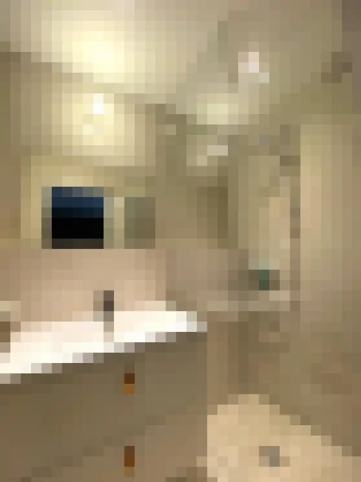 Rechtstraat Maastricht thumbnail 4