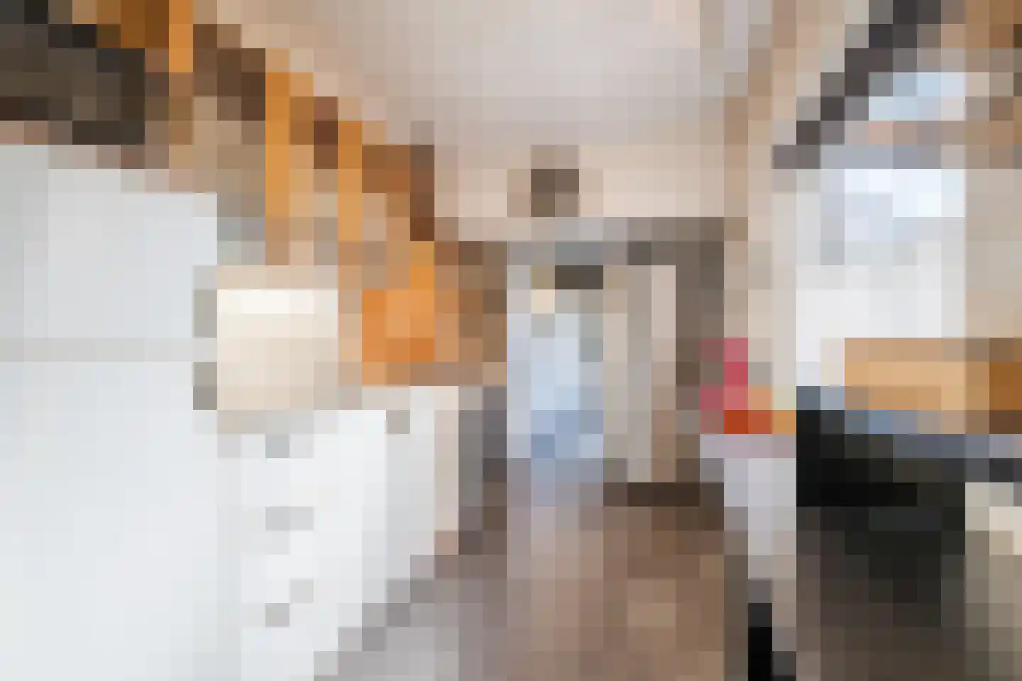 Rechtuit 14 Hollandscheveld thumbnail 16