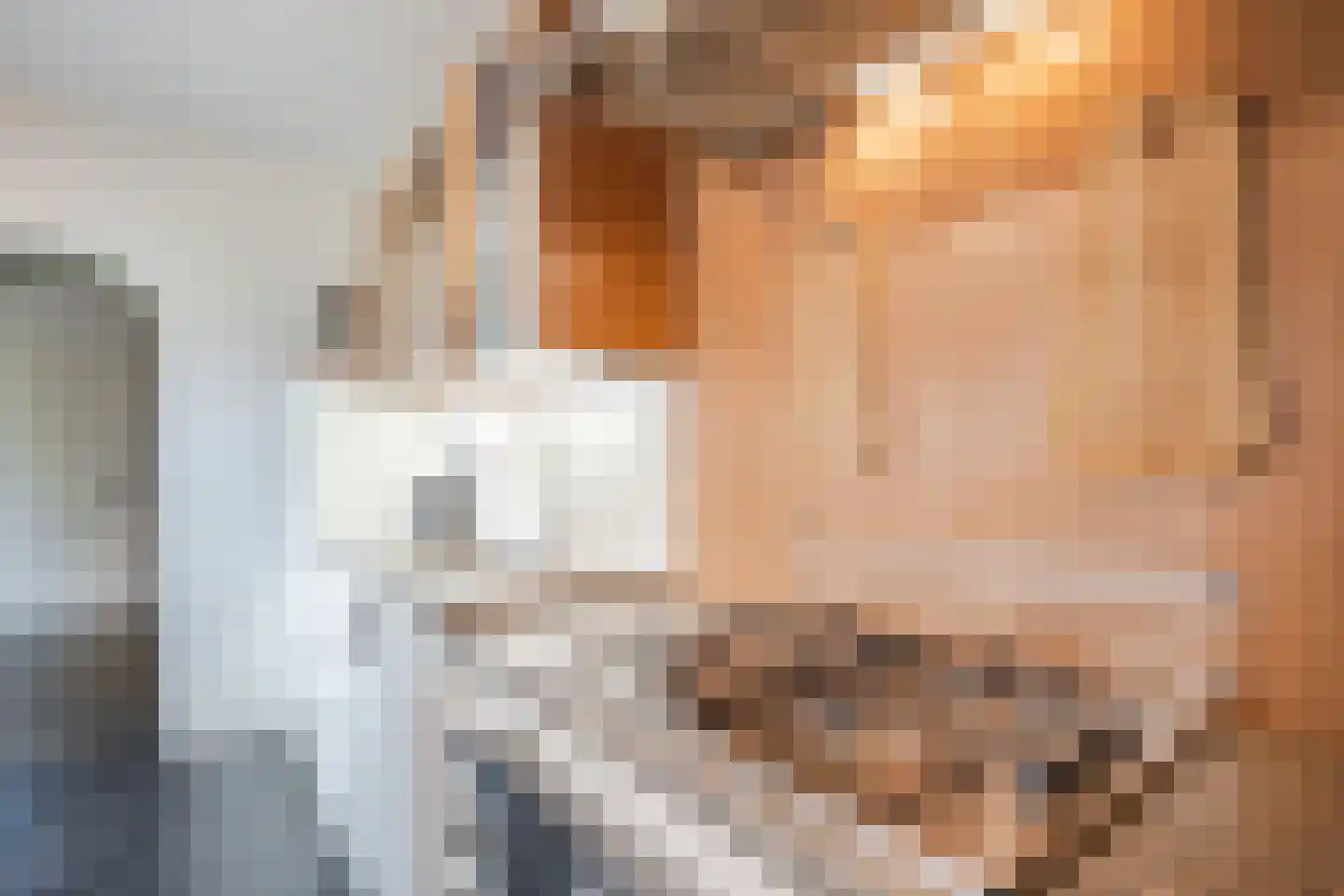 Rechtuit 14 Hollandscheveld thumbnail 17