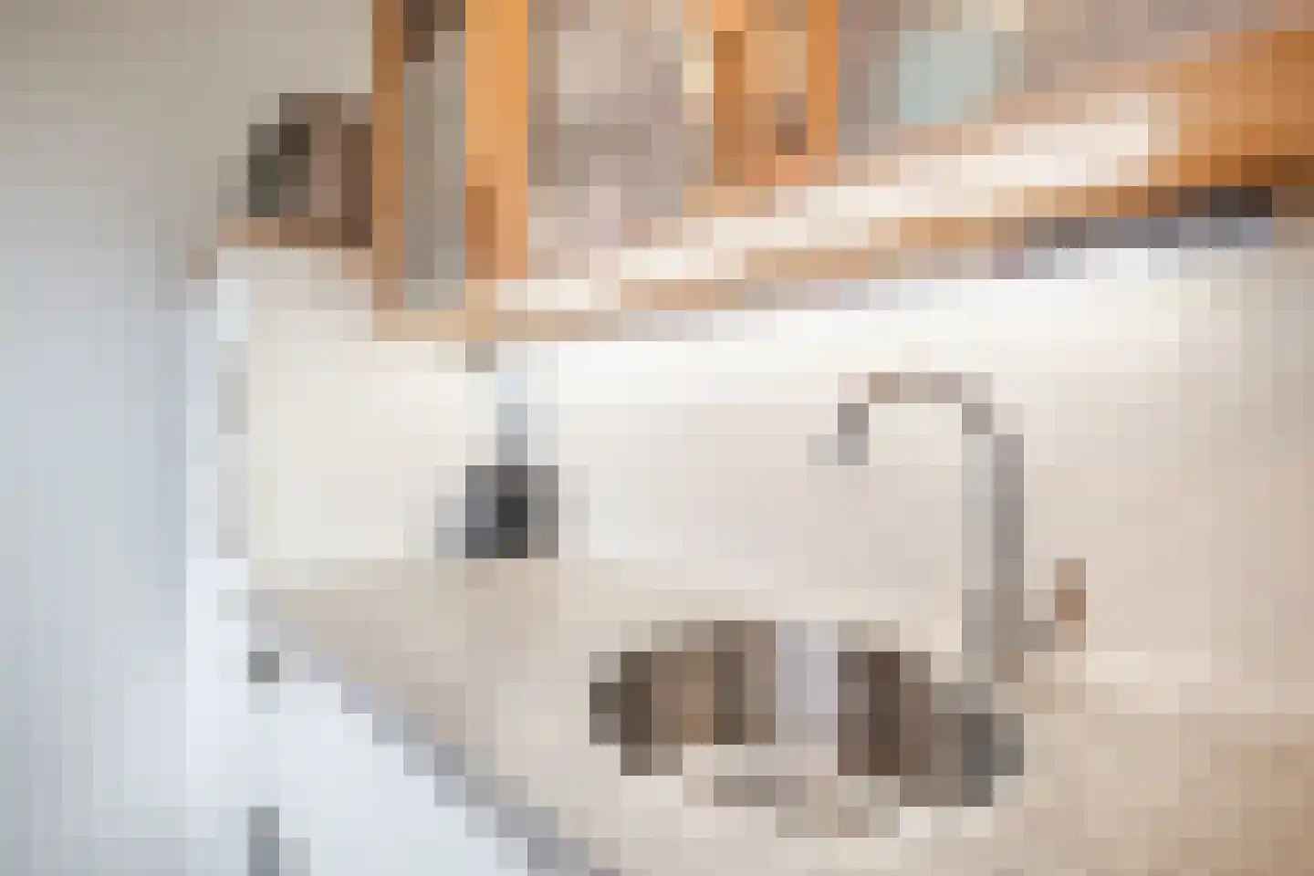 Rechtuit 14 Hollandscheveld thumbnail 18