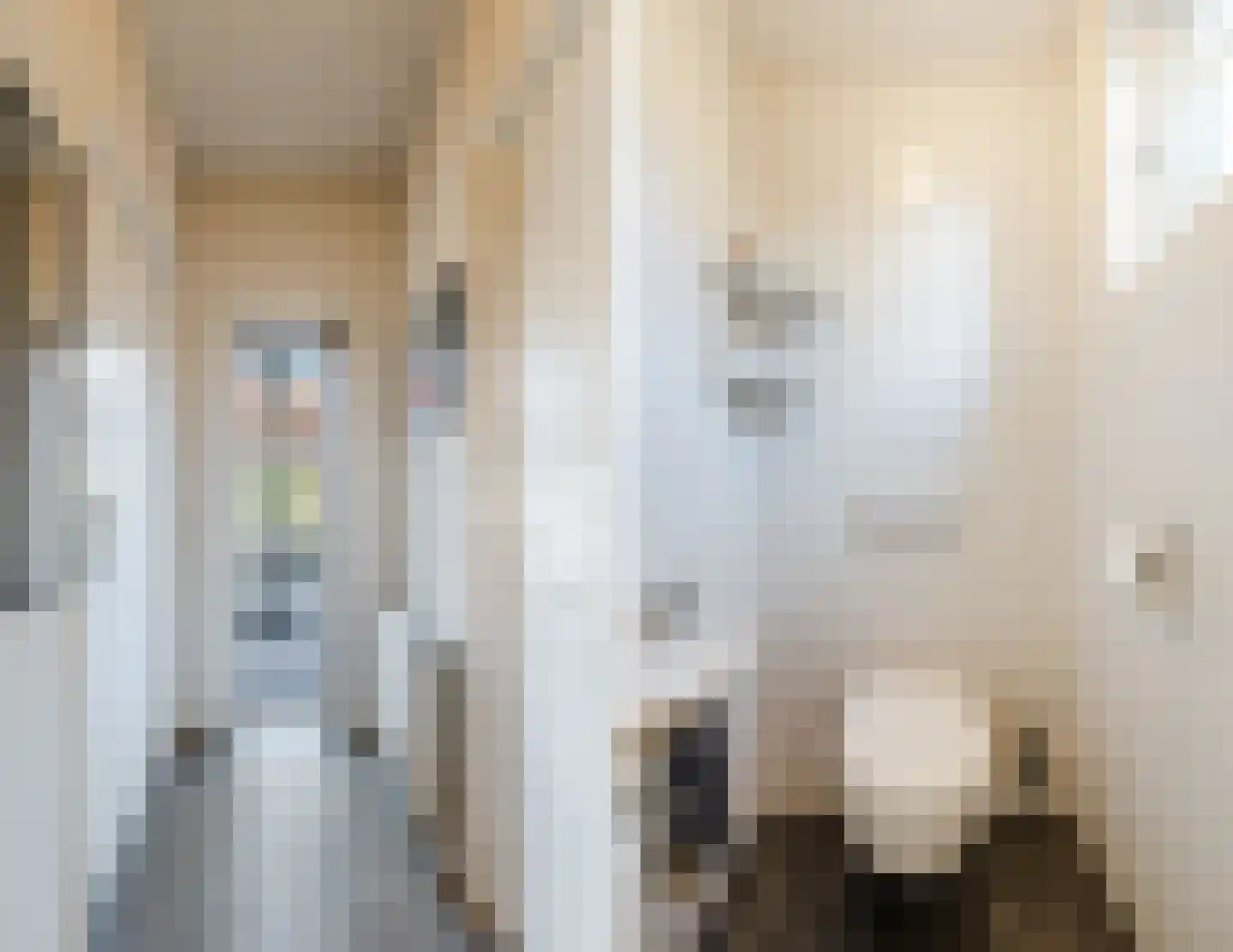 Rechtuit 14 Hollandscheveld thumbnail 21