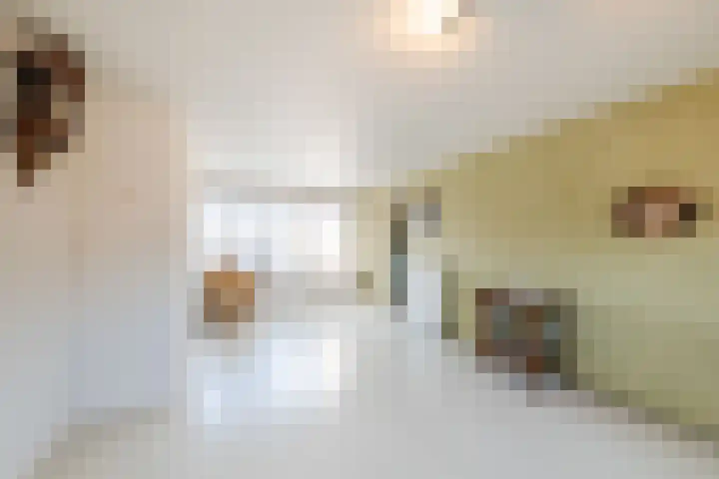 Rechtuit 14 Hollandscheveld thumbnail 31