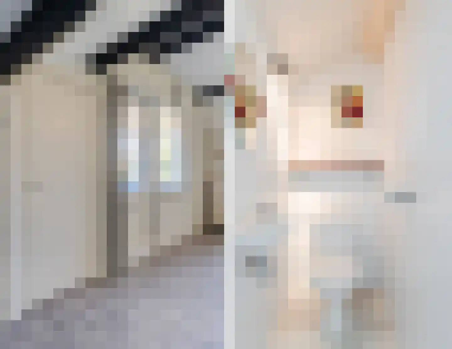 Rechtuit 14 Hollandscheveld thumbnail 35