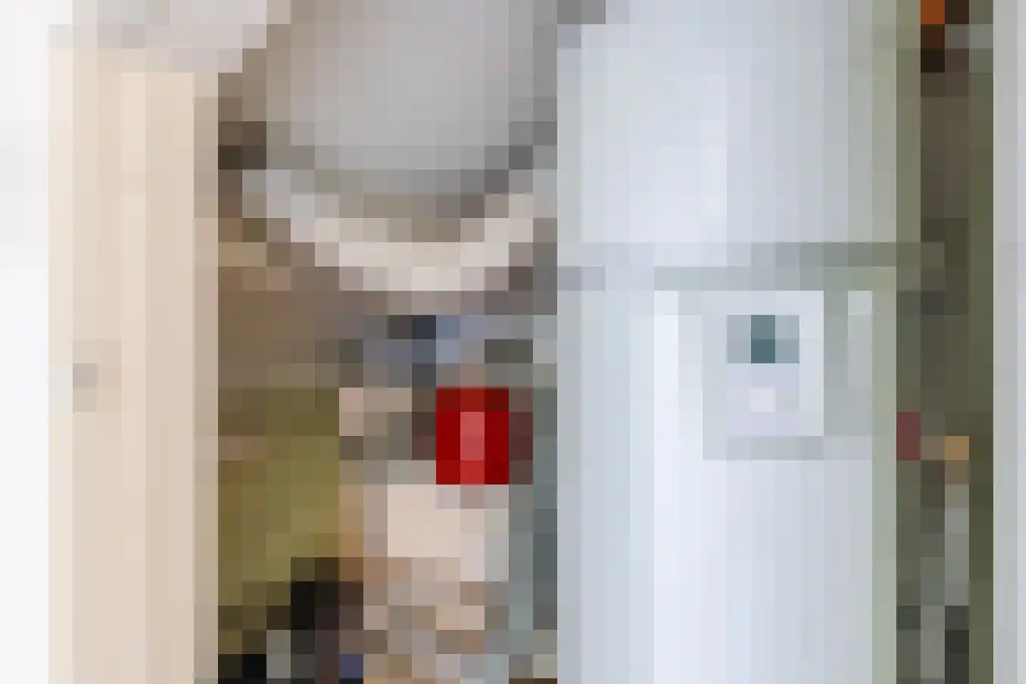 Rechtuit 14 Hollandscheveld thumbnail 36