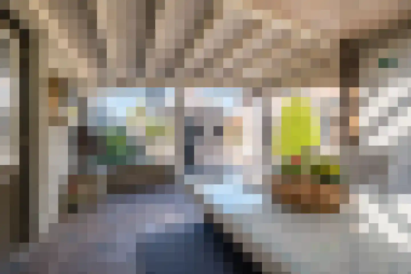 Rechtuit 14 Hollandscheveld thumbnail 44
