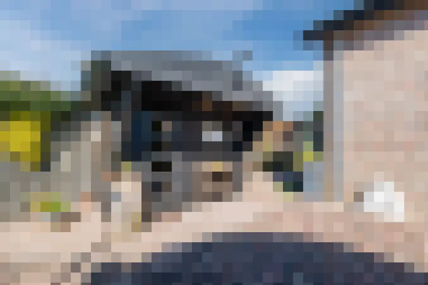 Rechtuit 14 Hollandscheveld thumbnail 46