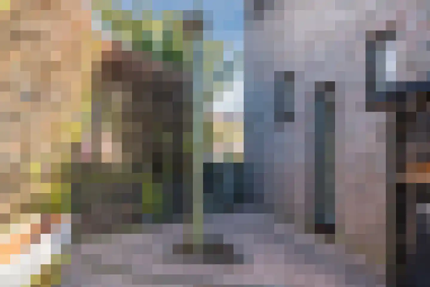 Rechtuit 14 Hollandscheveld thumbnail 49