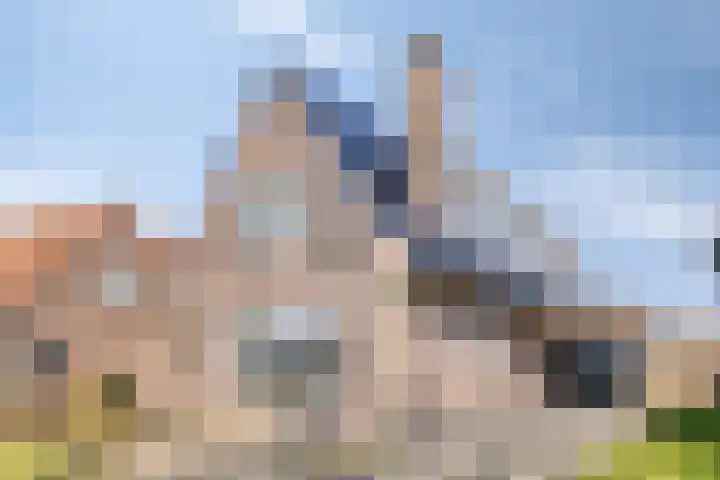 Rechtuit 27 in Hollandscheveld